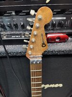 IMG_1656.jpeg