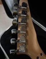 IMG_6398.jpeg