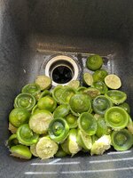 IMG_4248.jpeg