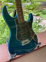 IMG_1227.jpg