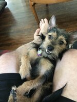 IMG_1367.jpeg