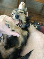 IMG_1369.jpeg