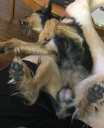 IMG_0929.jpeg