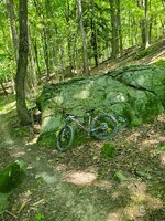 20250704_130748.jpg