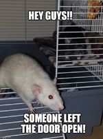 1751893516467.png