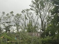 IMG_3963.jpeg