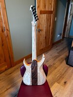 IMG_1664.jpg