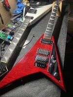 IMG_2727.jpeg