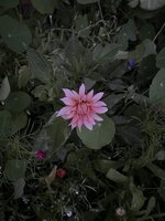 IMG_4639.jpeg