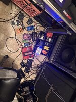 IMG_4501.jpeg