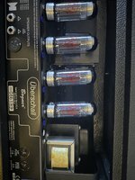 IMG_8259.jpeg