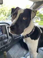 IMG_3053.jpeg