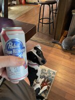 IMG_4022.jpeg