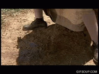 IMG_4799.gif