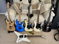 IMG_2528.jpeg