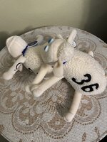 IMG_4411.jpeg