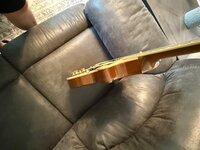 IMG_1581.jpeg