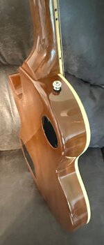 IMG_1582.jpeg
