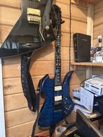 IMG_4117.jpeg