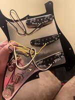 IMG_8871.jpeg