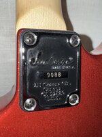 IMG_3226.jpeg