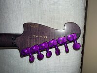 IMG_3240.jpeg