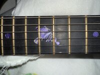 IMG_3238.jpeg