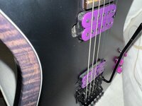 IMG_3237.jpeg