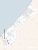 1000000164 (1).png