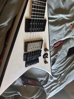 IMG_4938.jpeg
