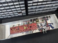IMG_2831.jpeg