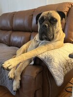 IMG_4434.jpeg