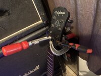 IMG_4995.jpeg IMG_4995.jpeg