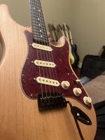 IMG_8919.jpeg