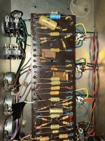 IMG_3387.jpeg