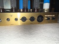 IMG_3393.jpeg