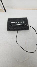 20250912_180348.jpg