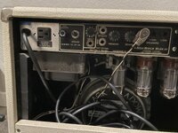 IMG_1268.jpeg