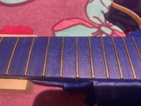 IMG_6400.jpeg