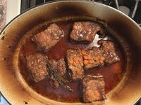 IMG_4484.jpeg