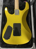 IMG_1296.jpeg