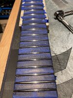 IMG_6453.jpeg