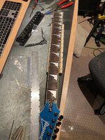 IMG_6455.jpeg
