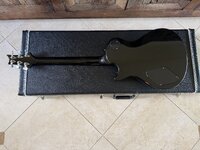 IMG_3217.jpeg