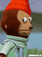 IMG_9441.gif