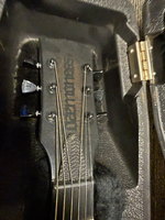 IMG_1724.png