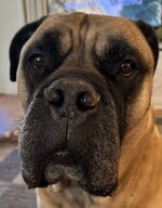 IMG_4530.jpeg