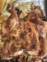 IMG_4534.jpeg