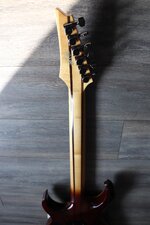 IMG_2048.jpeg