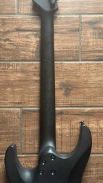 IMG_1030.jpeg